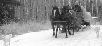 sleigh ride at KB Trails